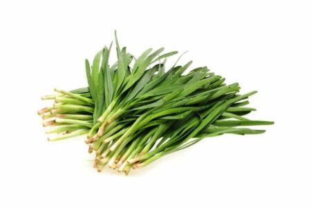 Ciboule de Chine Ciboule de Chine